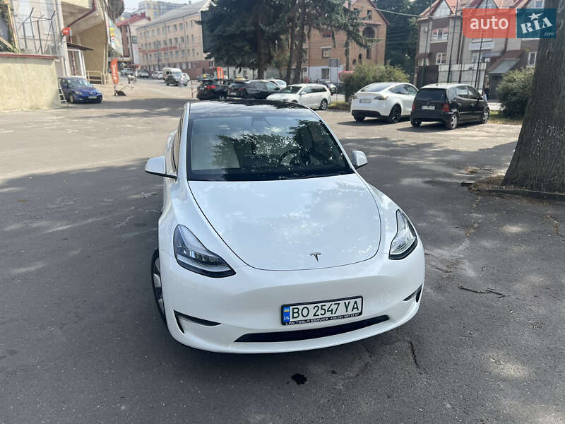 Внедорожник / Кроссовер Tesla Model Y 2020 в Тернополе