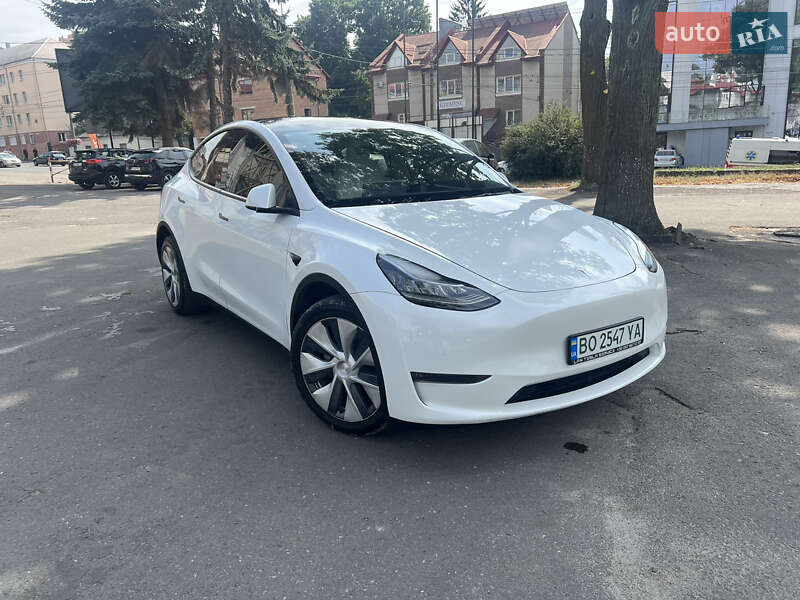 Внедорожник / Кроссовер Tesla Model Y 2020 в Тернополе