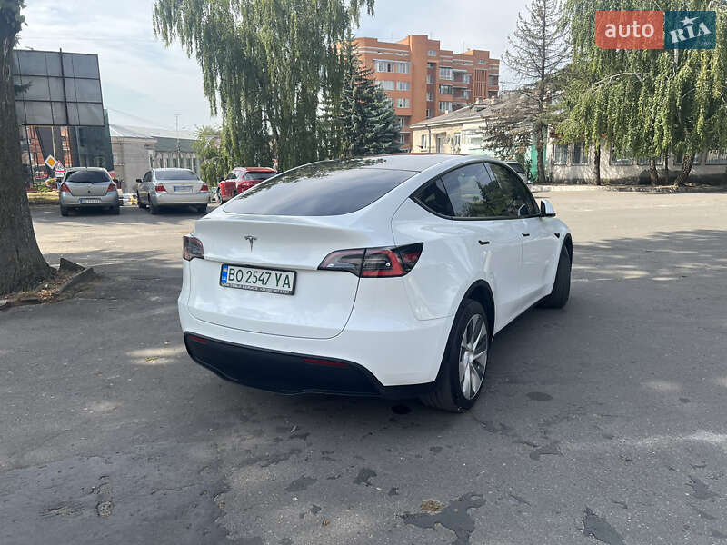 Внедорожник / Кроссовер Tesla Model Y 2020 в Тернополе
