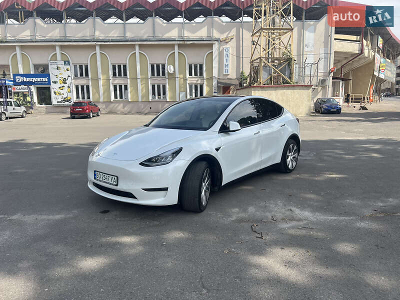 Внедорожник / Кроссовер Tesla Model Y 2020 в Тернополе