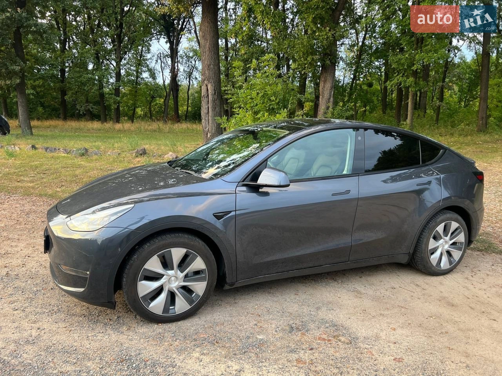 2020 Tesla Model Y - мініатюра 4