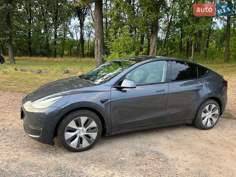 Позашляховик / Кросовер Tesla Model Y 2020 в Києві фото 4 Позашляховик / Кросовер Tesla Model Y 2020 в Києві