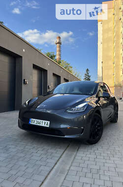 Позашляховик / Кросовер Tesla Model Y 2021 в Кам'янець-Подільському