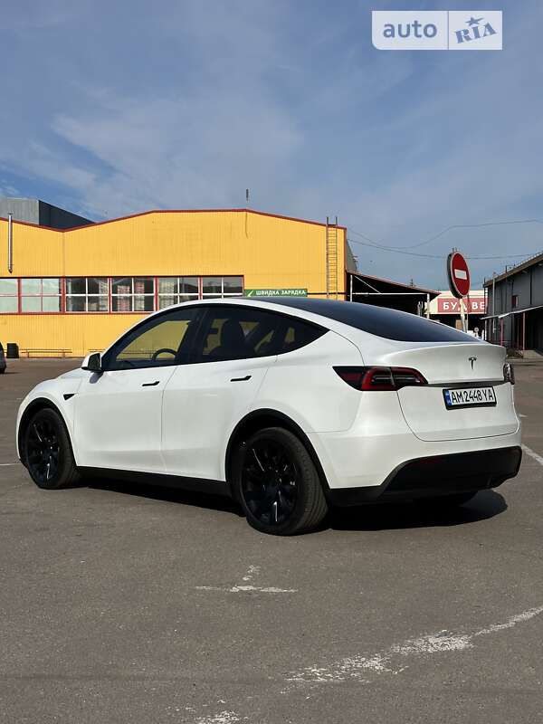 Внедорожник / Кроссовер Tesla Model Y 2023 в Житомире