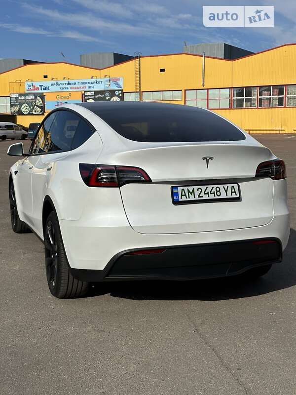 Внедорожник / Кроссовер Tesla Model Y 2023 в Житомире