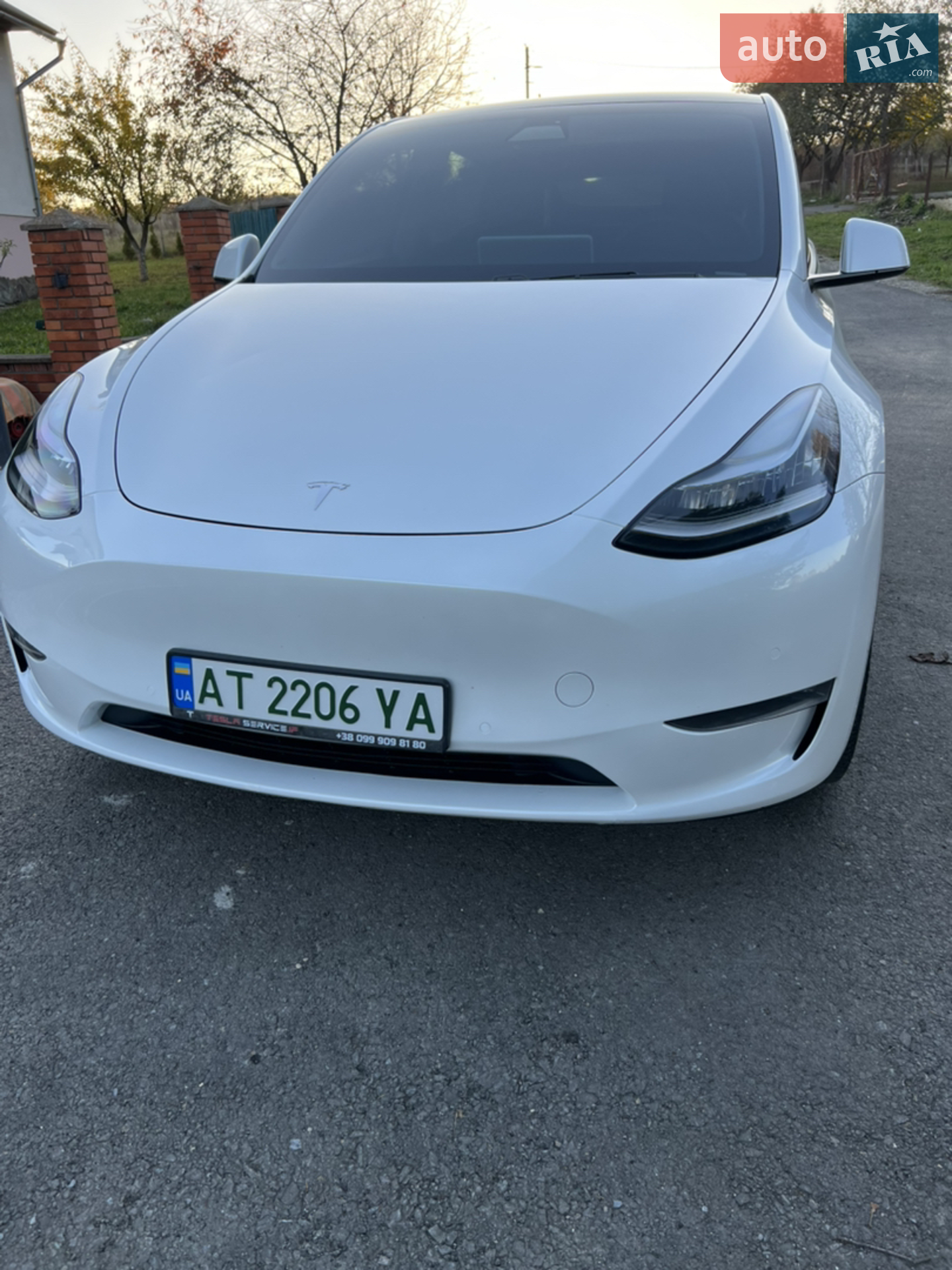 2020 Tesla Model Y - фото 1