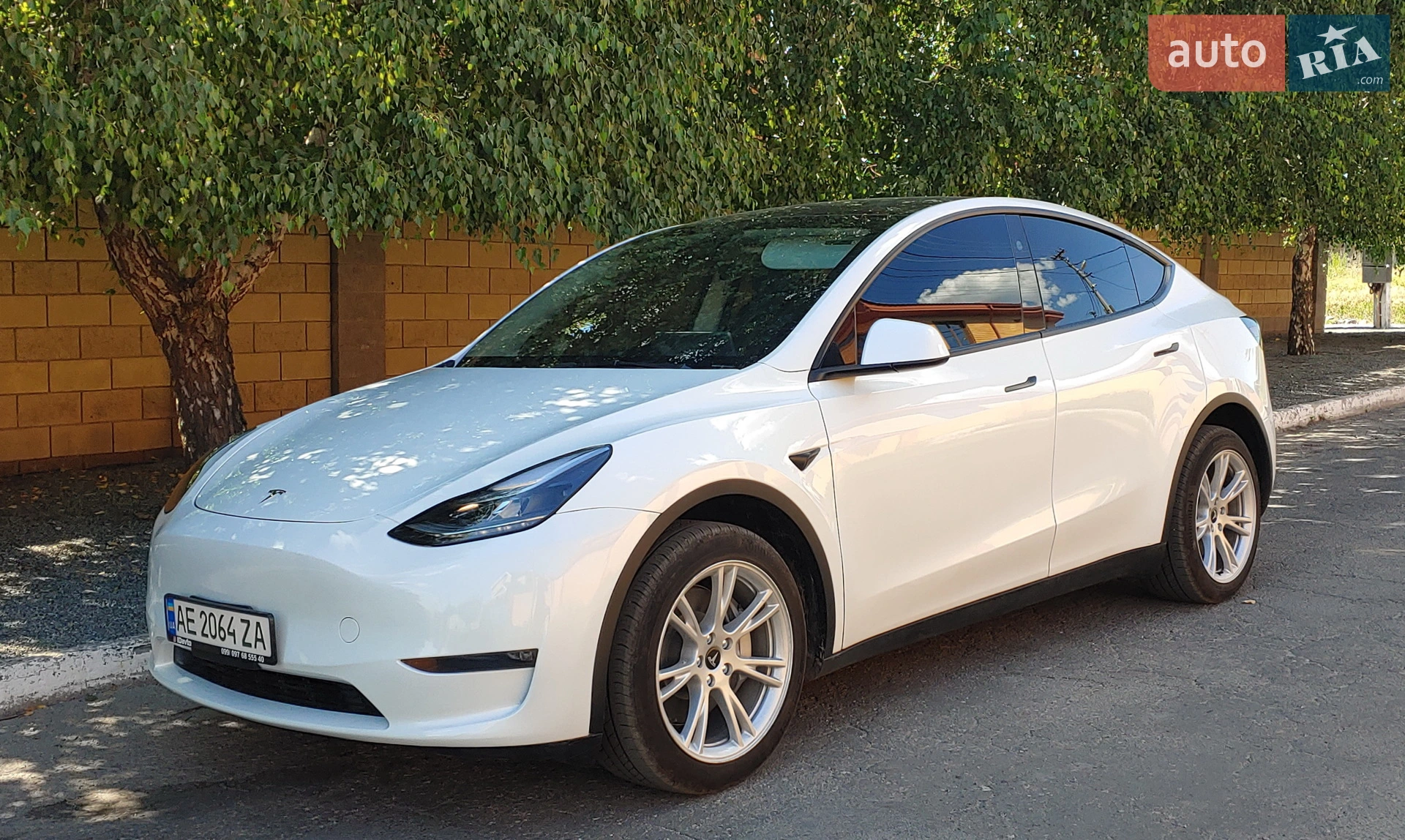 2023 Tesla Model Y - фото 1