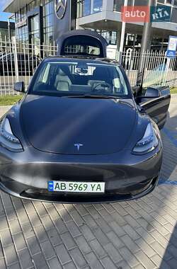 Внедорожник / Кроссовер Tesla Model Y 2021 в Житомире