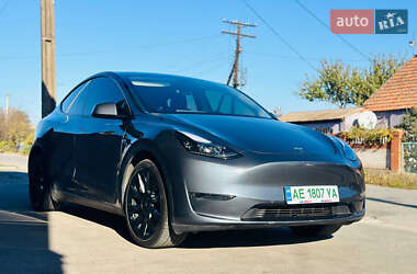 Внедорожник / Кроссовер Tesla Model Y 2023 в Кривом Роге