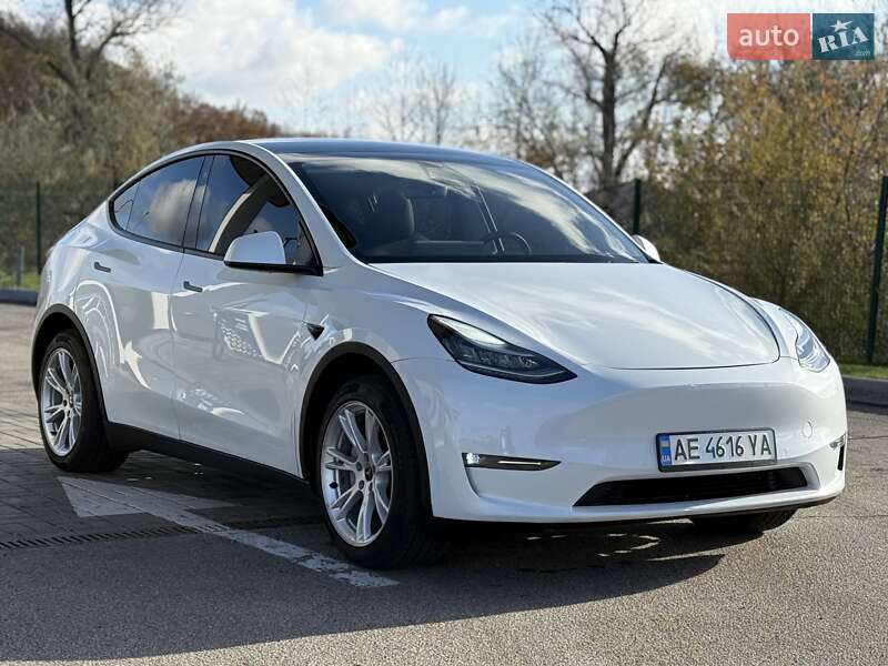 Позашляховик / Кросовер Tesla Model Y 2020 в Дніпрі
