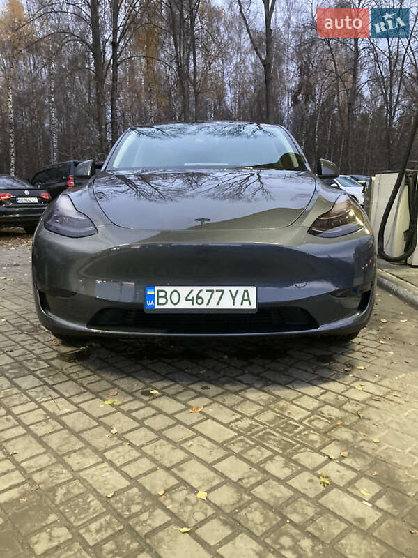 Позашляховик / Кросовер Tesla Model Y 2023 в Тернополі