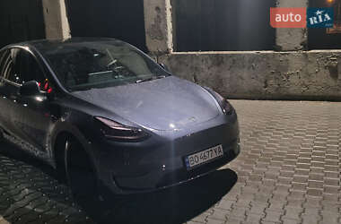 Внедорожник / Кроссовер Tesla Model Y 2023 в 