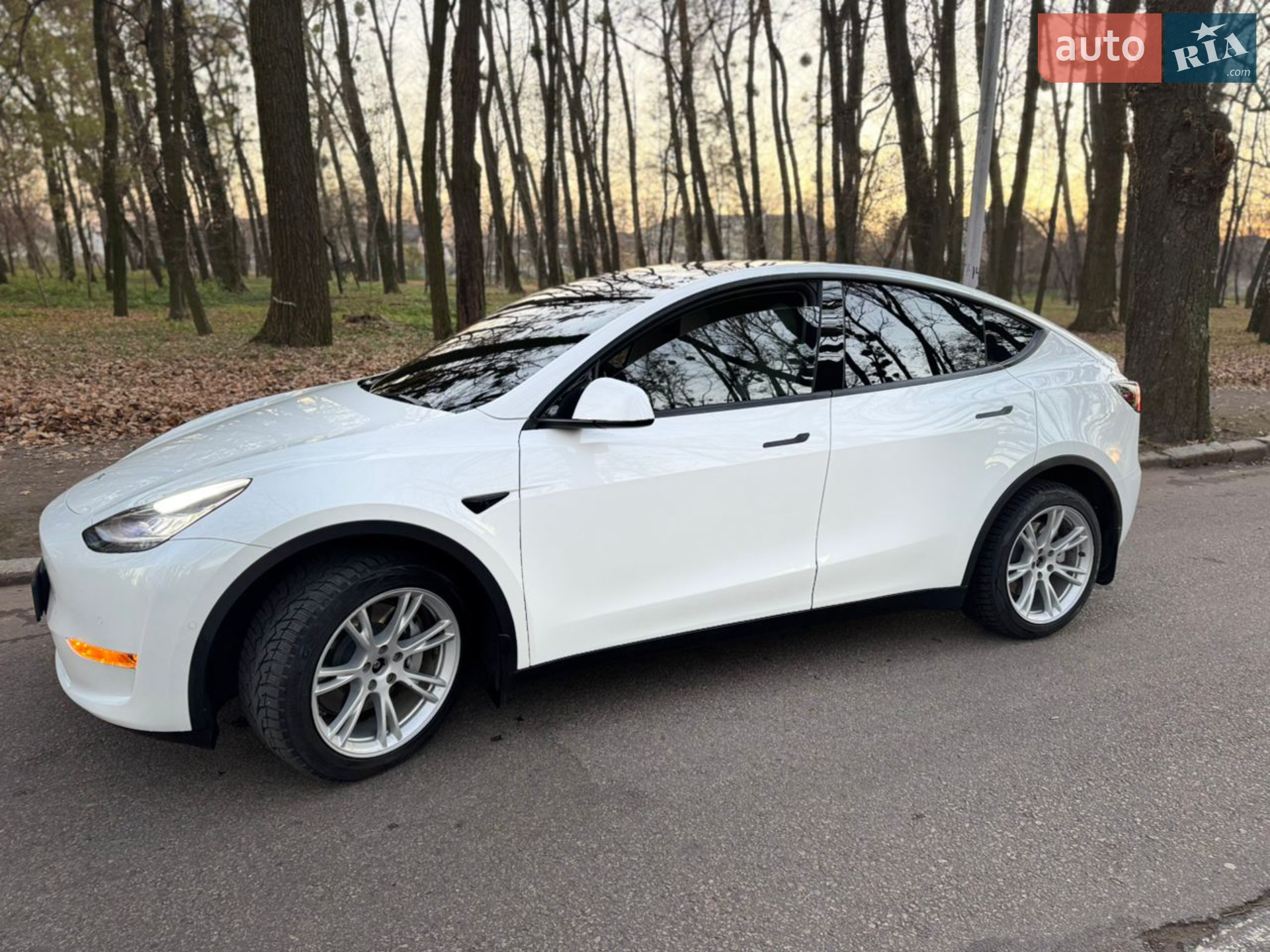 2021 Tesla Model Y - мініатюра 4