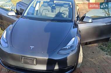 Внедорожник / Кроссовер Tesla Model Y 2023 в Жмеринке
