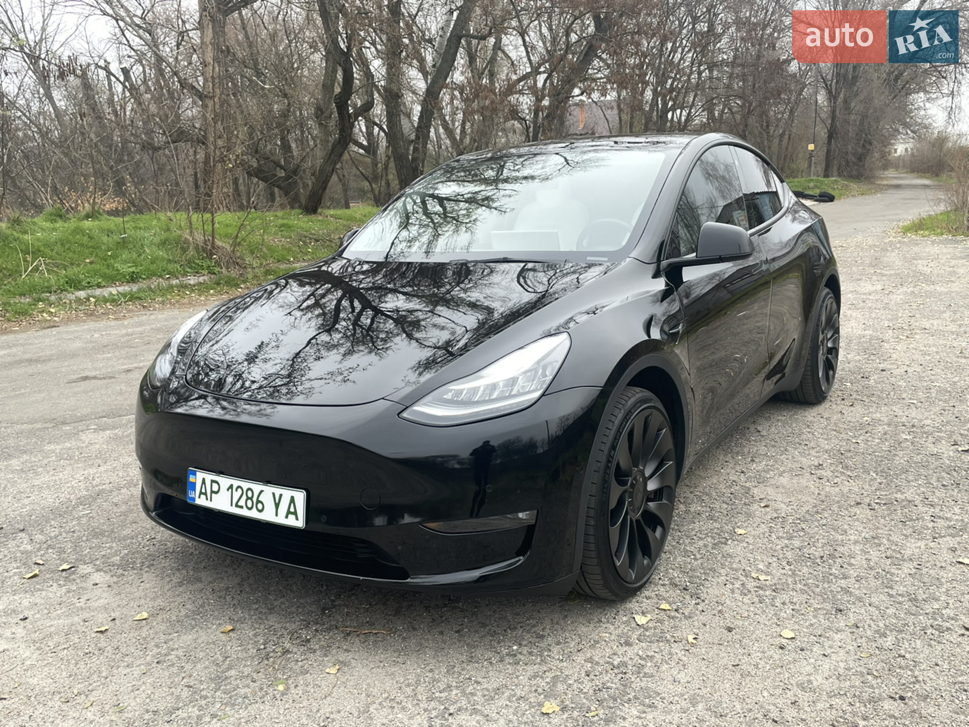 2021 Tesla Model Y - мініатюра 4
