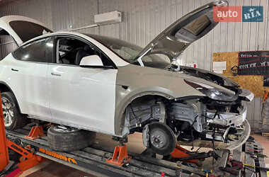 Внедорожник / Кроссовер Tesla Model Y 2021 в 