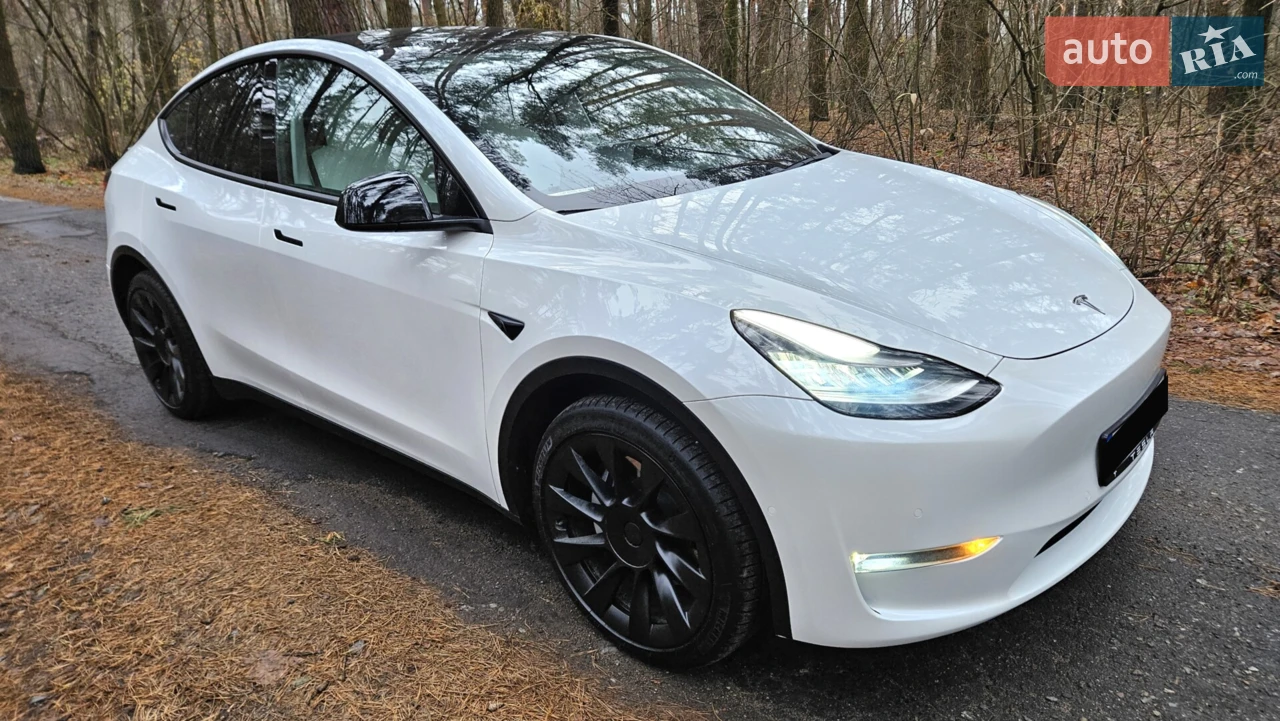 2021 Tesla Model Y - мініатюра 16