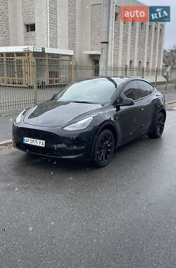 Внедорожник / Кроссовер Tesla Model Y 2023 в Запорожье