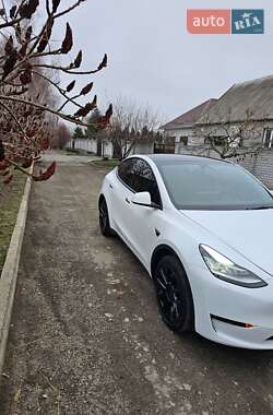 Внедорожник / Кроссовер Tesla Model Y 2021 в Днепре