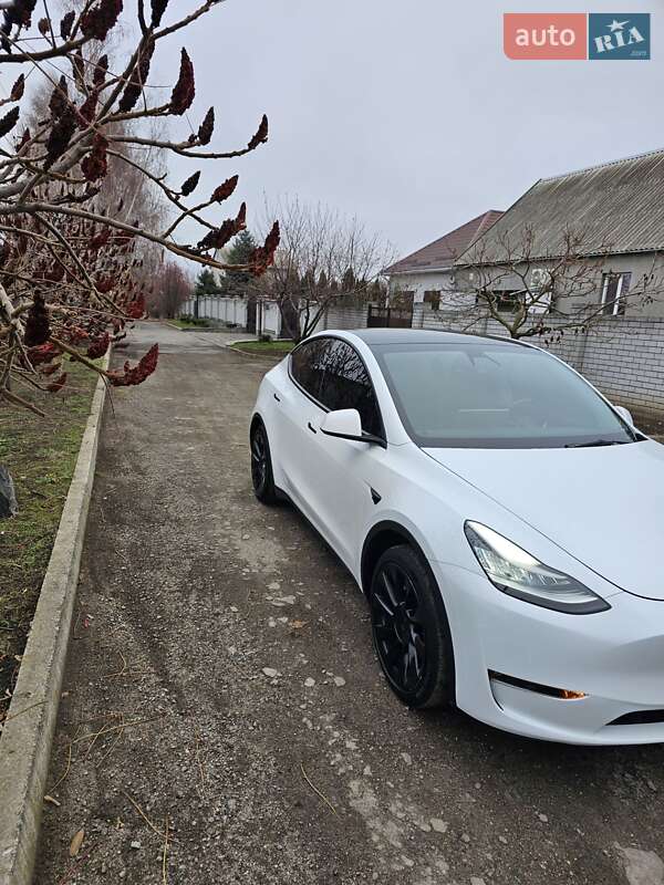 Позашляховик / Кросовер Tesla Model Y 2021 в Дніпрі