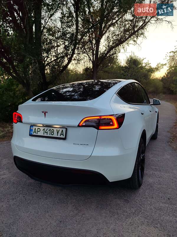 Внедорожник / Кроссовер Tesla Model Y 2023 в Запорожье