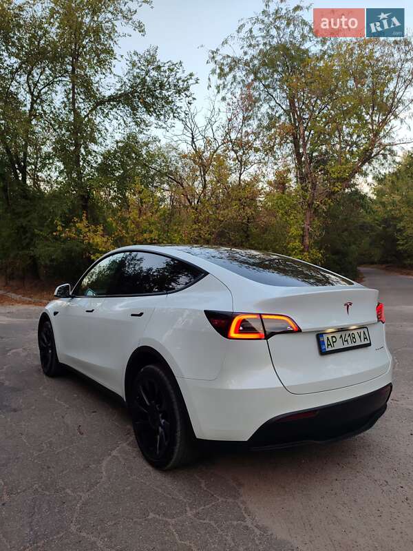 Внедорожник / Кроссовер Tesla Model Y 2023 в Запорожье