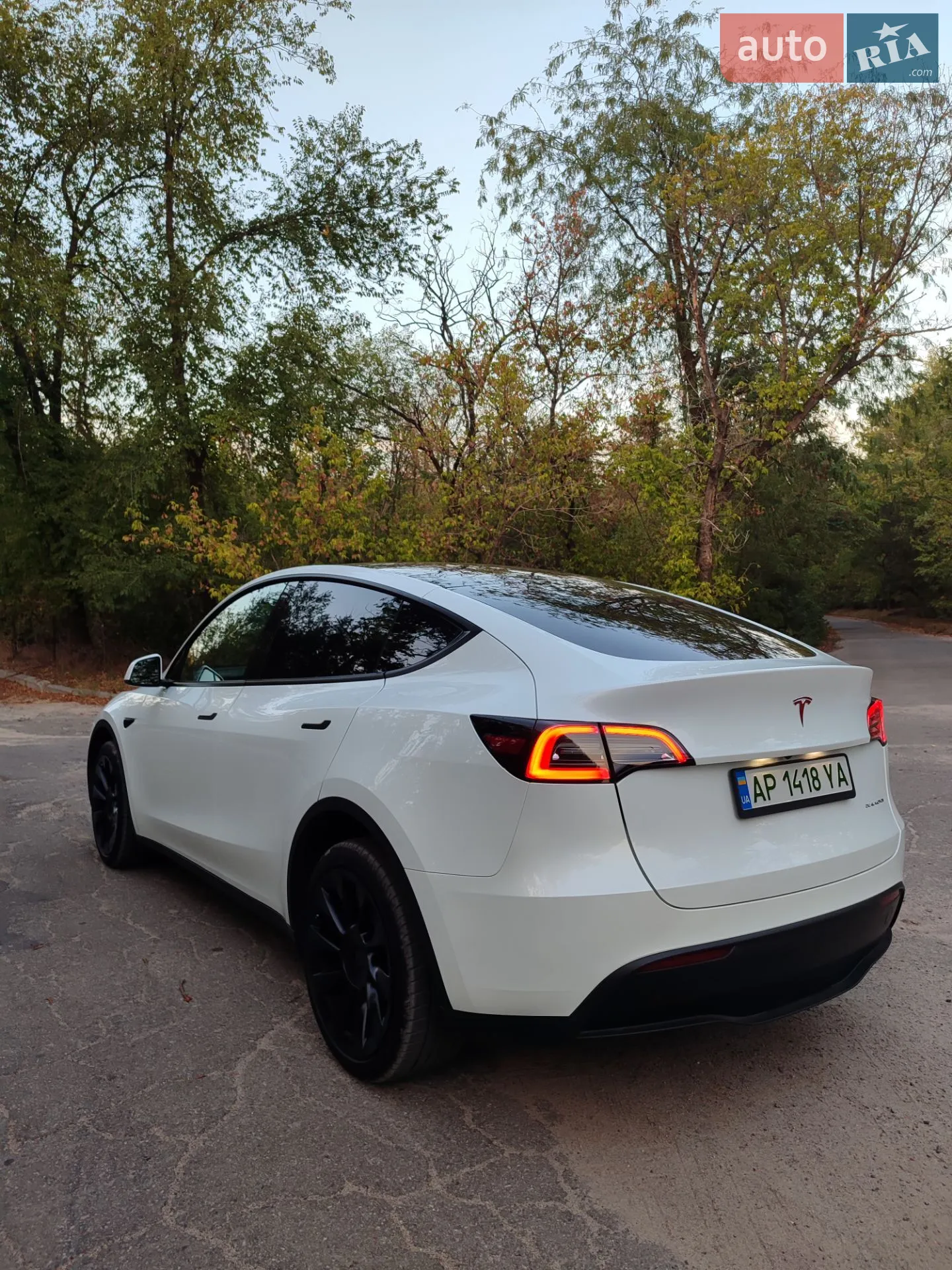 2023 Tesla Model Y - мініатюра 13