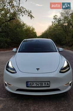 Внедорожник / Кроссовер Tesla Model Y 2023 в Запорожье