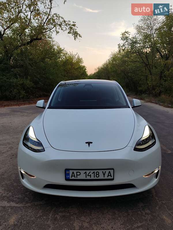 Внедорожник / Кроссовер Tesla Model Y 2023 в Запорожье
