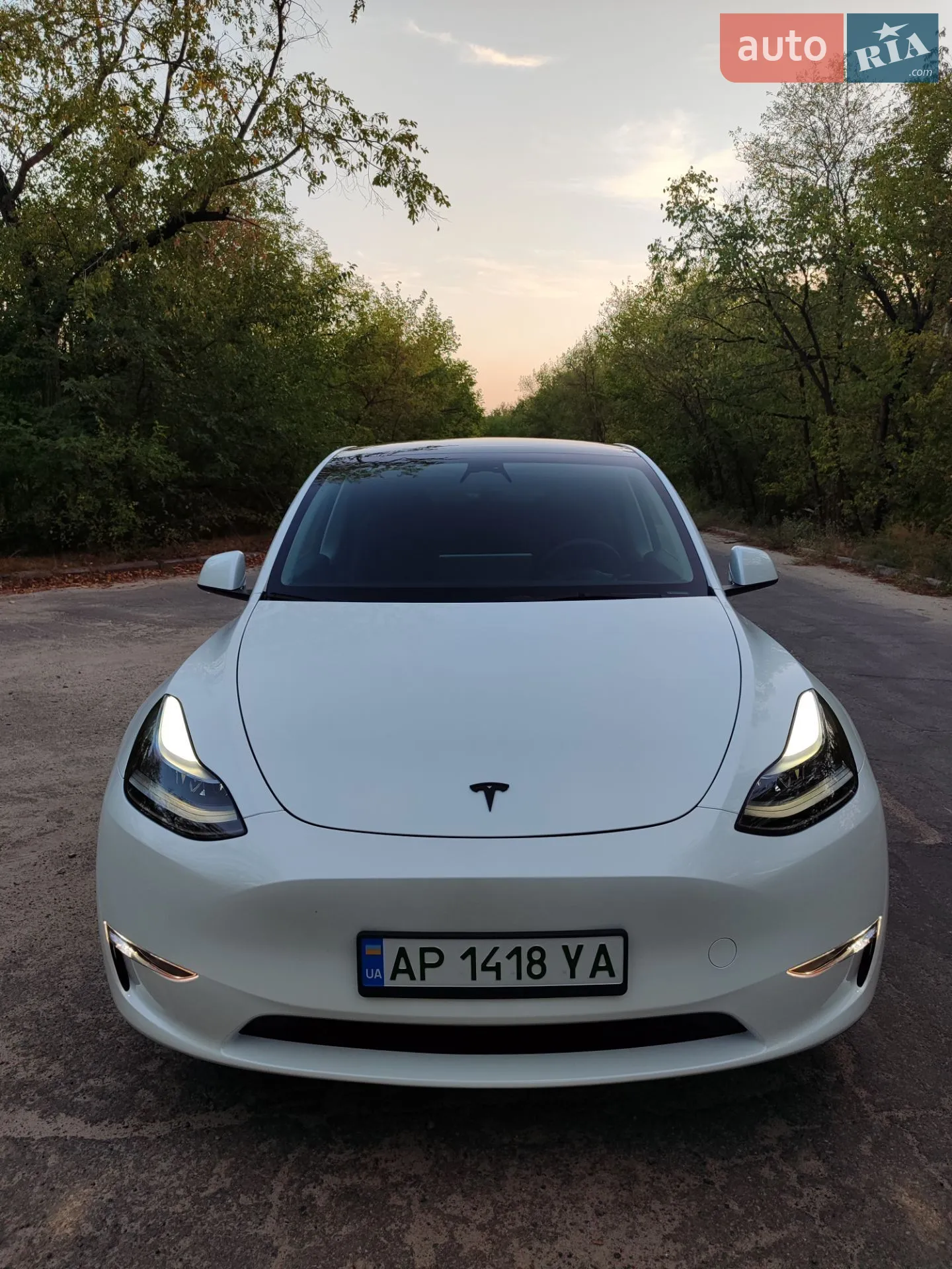 2023 Tesla Model Y - мініатюра 28