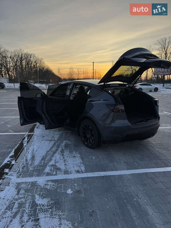 Внедорожник / Кроссовер Tesla Model Y 2023 в Киеве