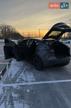 Внедорожник / Кроссовер Tesla Model Y 2023 в 