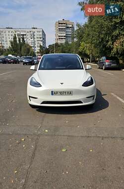 Позашляховик / Кросовер Tesla Model Y 2023 в Запоріжжі