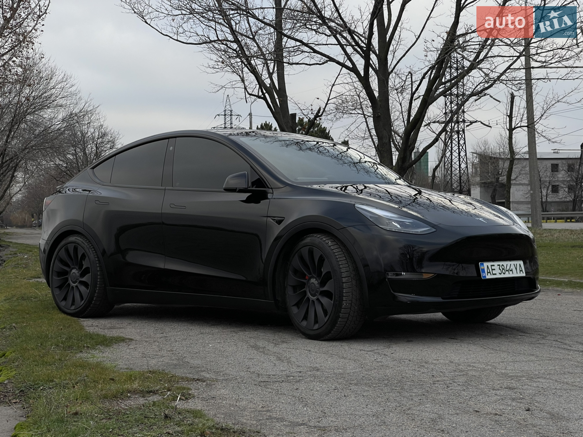 2022 Tesla Model Y - фото 1