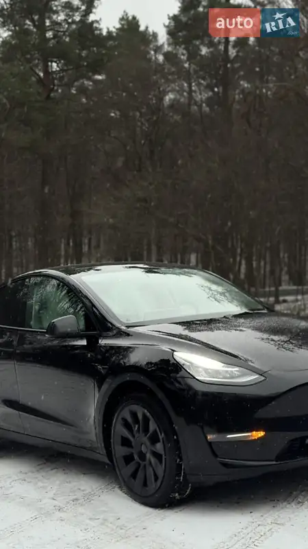 Внедорожник / Кроссовер Tesla Model Y 2021 в 
