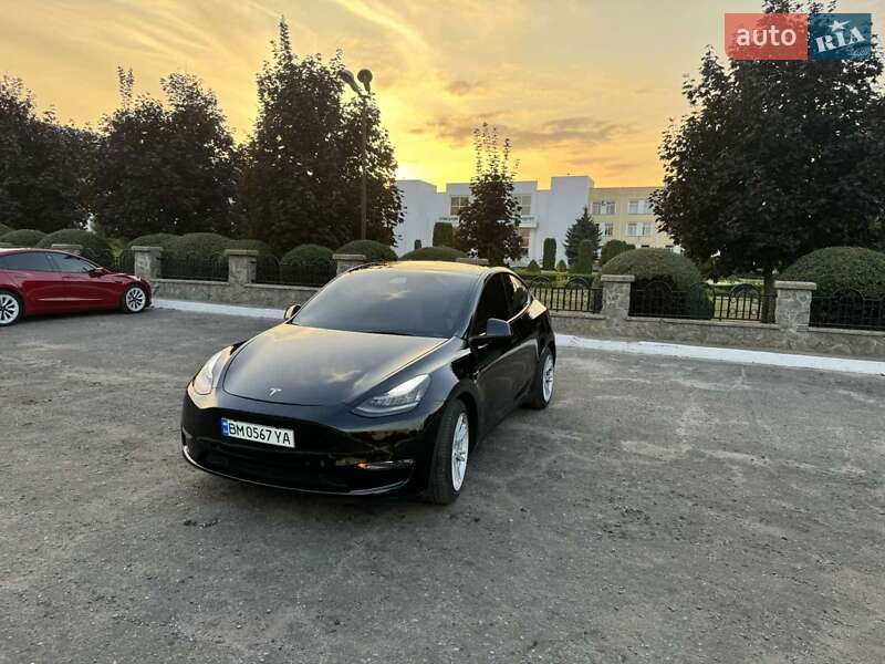 Внедорожник / Кроссовер Tesla Model Y 2021 в Сумах