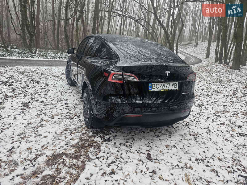 Внедорожник / Кроссовер Tesla Model Y 2020 в Львове