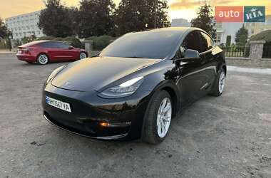 Внедорожник / Кроссовер Tesla Model Y 2021 в Сумах