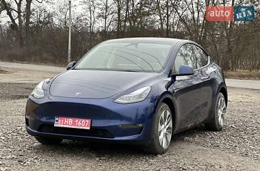 Позашляховик / Кросовер Tesla Model Y 2023 в Києві