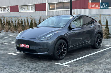 Позашляховик / Кросовер Tesla Model Y 2023 в Луцьку