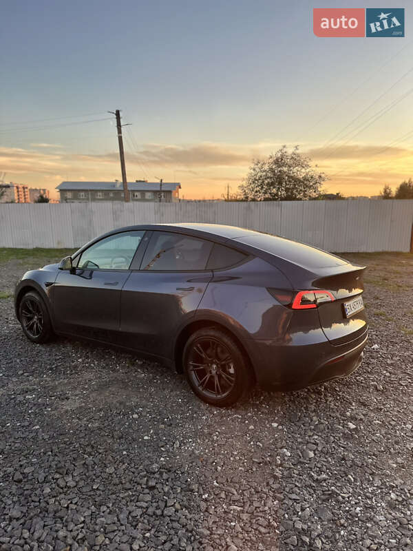 Внедорожник / Кроссовер Tesla Model Y 2022 в Хмельницком