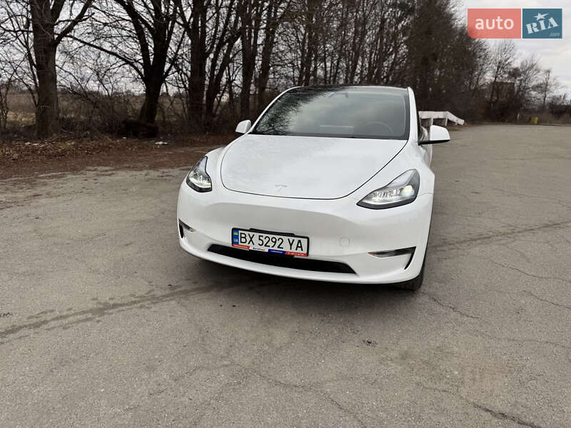 Внедорожник / Кроссовер Tesla Model Y 2024 в Шепетовке