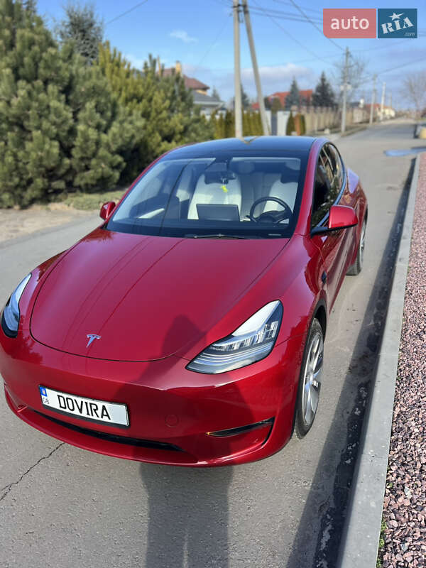 Внедорожник / Кроссовер Tesla Model Y 2023 в Запорожье