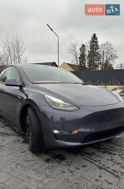 Позашляховик / Кросовер Tesla Model Y 2022 в Самборі