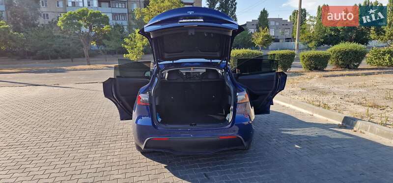 Позашляховик / Кросовер Tesla Model Y 2021 в Кам'янському