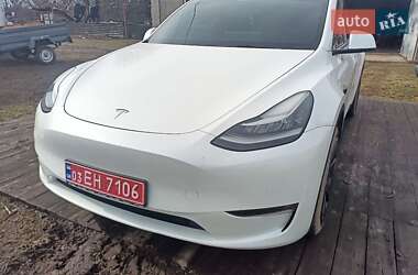 Внедорожник / Кроссовер Tesla Model Y 2021 в Киеве