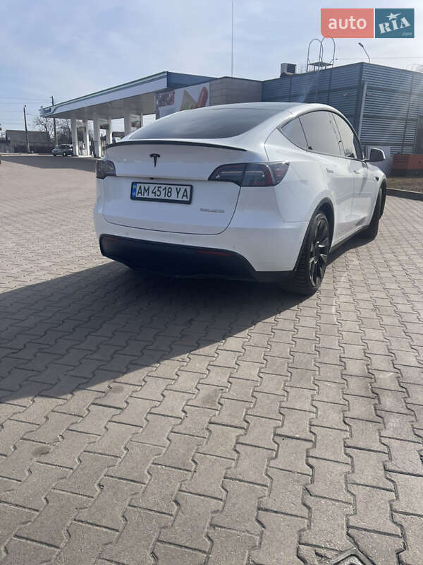 Внедорожник / Кроссовер Tesla Model Y 2022 в Житомире