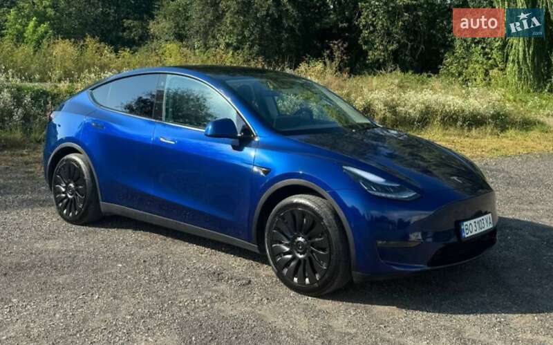 Позашляховик / Кросовер Tesla Model Y 2021 в Івано-Франківську