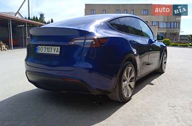 Позашляховик / Кросовер Tesla Model Y 2021 в Івано-Франківську