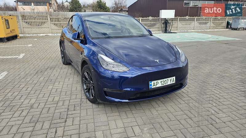 Позашляховик / Кросовер Tesla Model Y 2022 в Запоріжжі